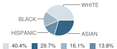 Lincoln Jr High School Student Race Distribution