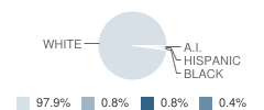 South Pekin Elementary School Student Race Distribution