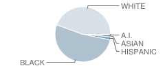 Springfield Southeast High School Student Race Distribution