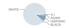 Southeast Elementary School Student Race Distribution