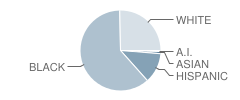 Thornton Fractnl So High School Student Race Distribution