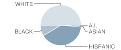 Irene King Elementary School Student Race Distribution