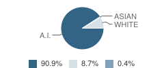 Warsaw Sr High School Student Race Distribution