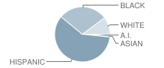 Greenwood Elementary School Student Race Distribution