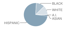 H R Mccall Elementary School Student Race Distribution