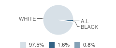 Waverly High School Student Race Distribution