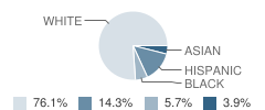 Bower Elementary School Student Race Distribution