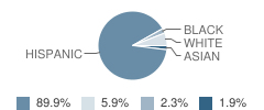 Mark Twain Elementary School Student Race Distribution