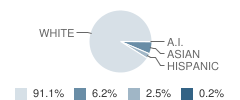 Central Elementary School Student Race Distribution