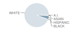 Booth Central Elementary School Student Race Distribution