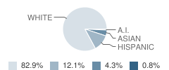 Westfield School Student Race Distribution