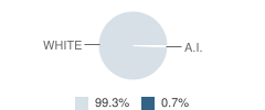 Shawnee High School Student Race Distribution