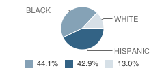 Elmwood Elementary School Student Race Distribution