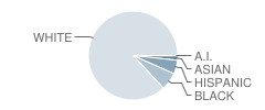 Yorkville Middle School Student Race Distribution