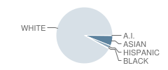 Deer Path Middle School Student Race Distribution