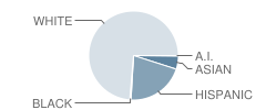 Gary D Wright Elementary School Student Race Distribution