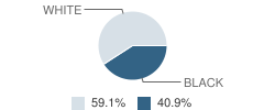 Youth Farm School Student Race Distribution