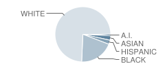 Amelia V Carriel Junior High School Student Race Distribution