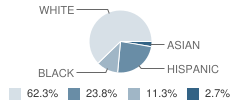 Thomas Jefferson Elementary School Student Race Distribution