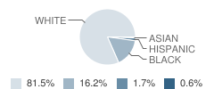 Eastside Elementary School Student Race Distribution