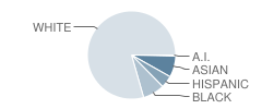 Sand Creek Elementary School Student Race Distribution