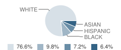 Delaware Trail Elementary School Student Race Distribution