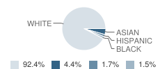 Center Grove Elementary School Student Race Distribution