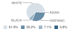 Central Elementary School Student Race Distribution