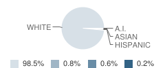 Eastern High School Student Race Distribution