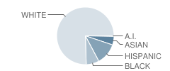 Feeser Elementary School Student Race Distribution