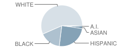 West Side Middle School Student Race Distribution