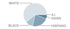 Franke Park Elementary School Student Race Distribution