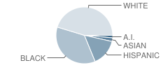 John S Irwin Elementary School Student Race Distribution