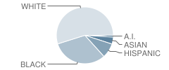 Lakeside Middle School Student Race Distribution