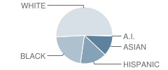 Northwood Middle School Student Race Distribution