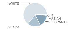 Portage Middle School Student Race Distribution