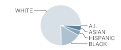 Washington Center Elementary School Student Race Distribution