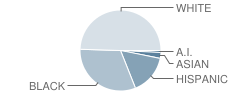 Weisser Park Elementary School Student Race Distribution