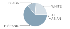 George Rogers Clark Middle School / High School Student Race Distribution