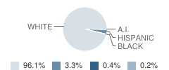 Knox Community Middle School Student Race Distribution