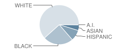 Sycamore Elementary School Student Race Distribution