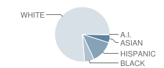 Michael Grimmer Middle School Student Race Distribution