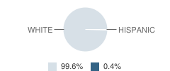 Loogootee East Elementary / Middle School Student Race Distribution