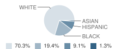 Lincoln Elementary School Student Race Distribution