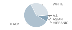 Mullen Elementary School Student Race Distribution