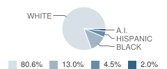 Emmons Elementary School Student Race Distribution