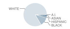 New Albany High School Student Race Distribution