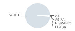 Tri-West Middle School Student Race Distribution