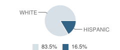 Buffalo Elementary School Student Race Distribution