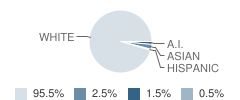 Arcola School Student Race Distribution